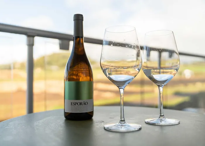 Nico Apartment Ponta Delgada (Sao Miguel)